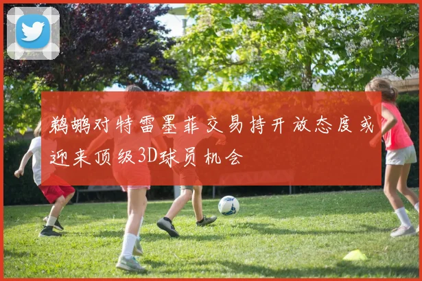 鹈鹕对特雷墨菲交易持开放态度或迎来顶级3D球员机会