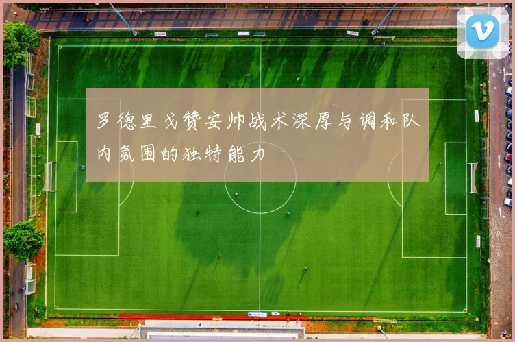 罗德里戈赞安帅战术深厚与调和队内氛围的独特能力