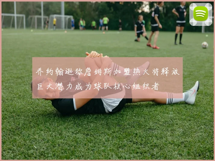 乔约翰逊称詹姆斯加盟热火将释放巨大潜力成为球队核心组织者